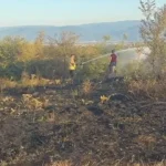 Düzce Konuralp’te örtü yangını kontrol altında