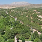 Konya Dutlu Millet Bahçesi’nde ateşli piknik yasaklandı