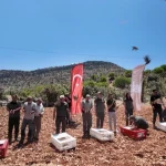 Mardin’de doğaya 300 kınalı keklik salındı