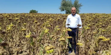 CHP Tekirdağ Milletvekili Aygun’dan kuraklık için yasa teklifi